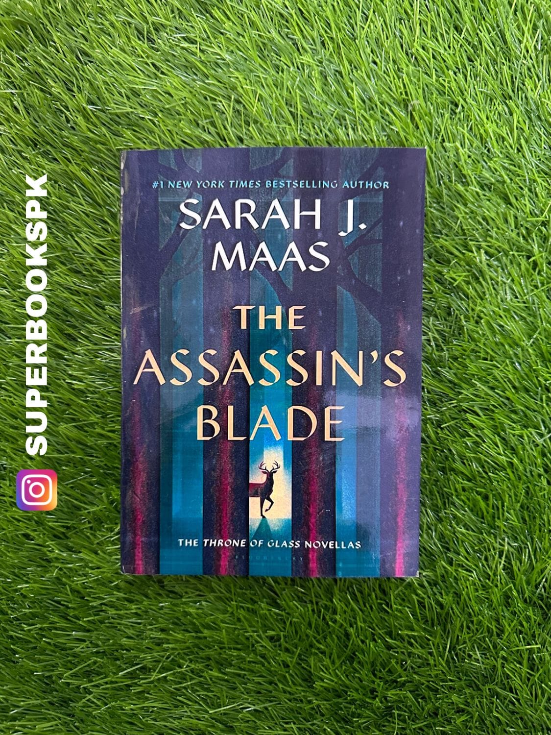 The Assassin's Blade by Sarah J. Maas