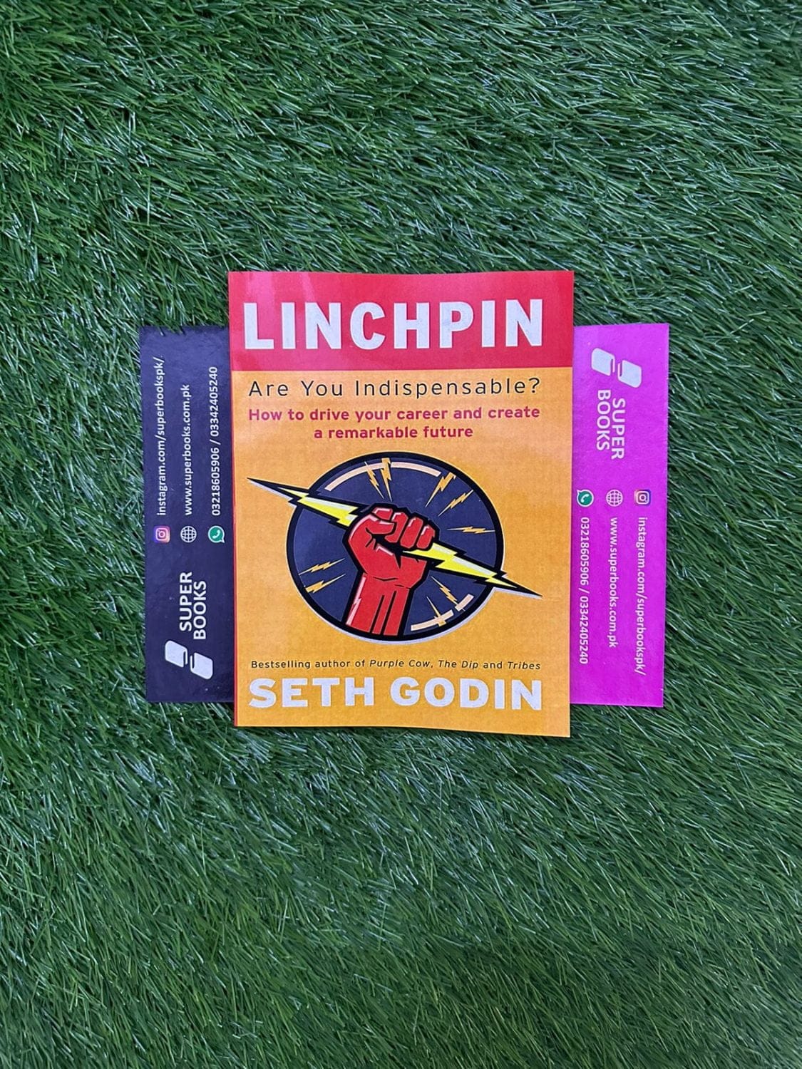 Linchpin: Are You Indispensable? by Seth Godin