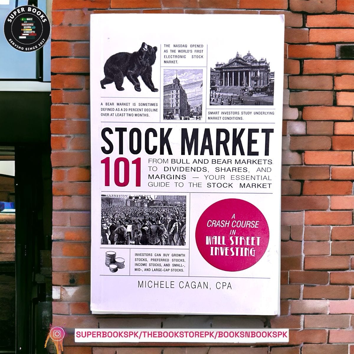 Stock Market 101 by Michele Cagan