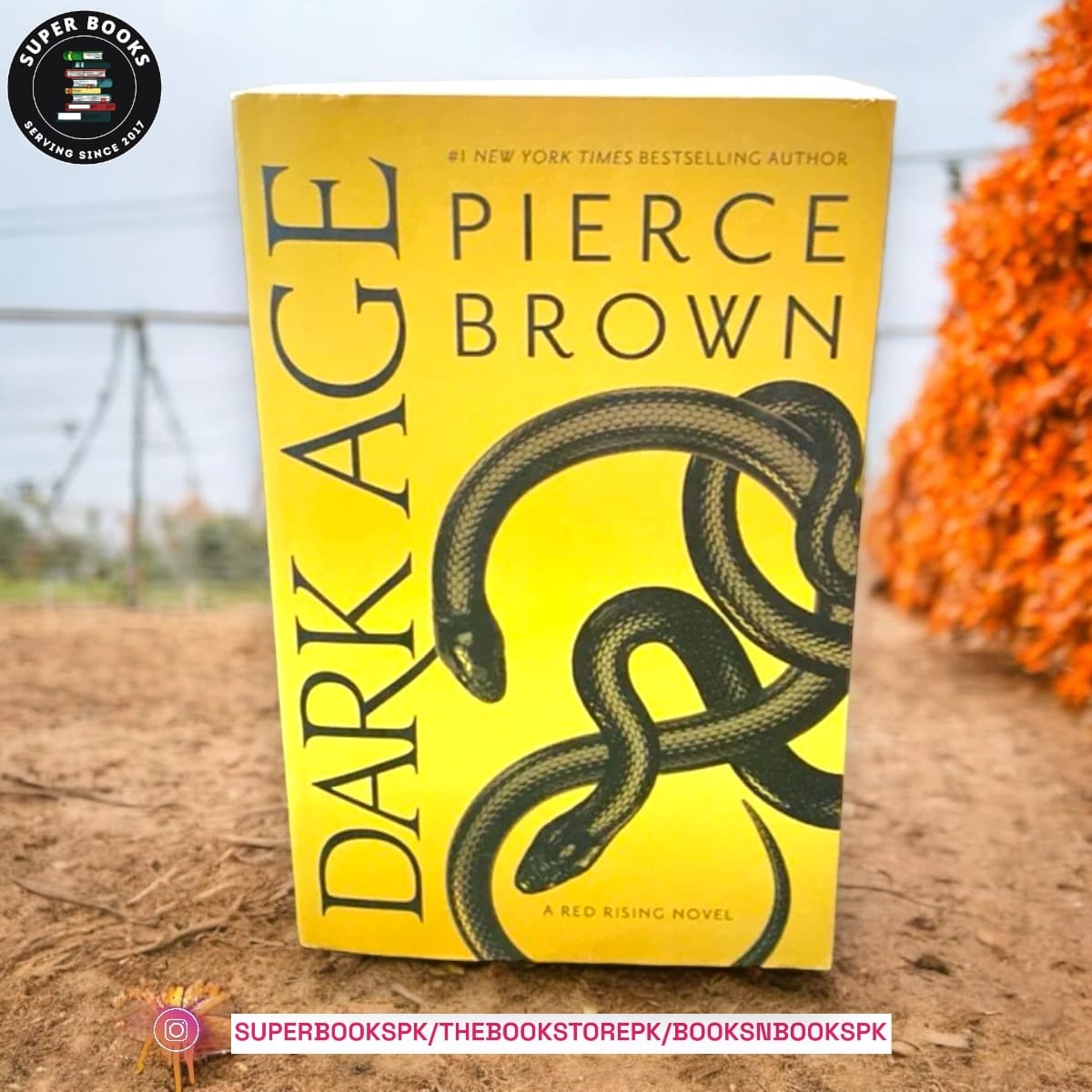 Dark Age by Pierce Brown