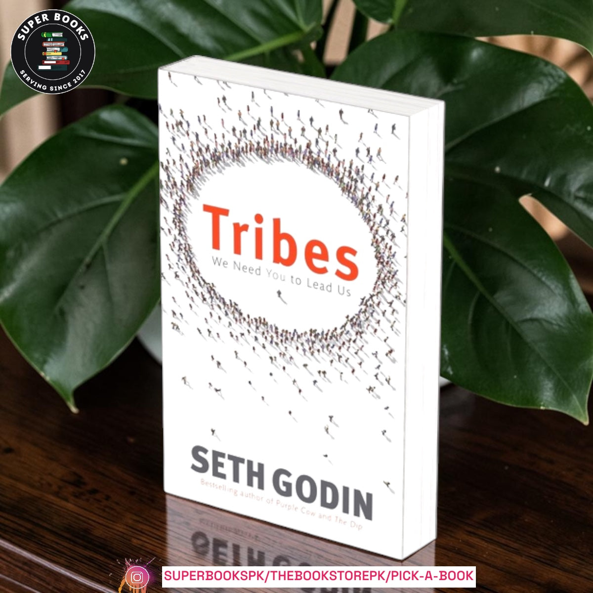Tribes: We Need You to Lead Us by Seth Godin