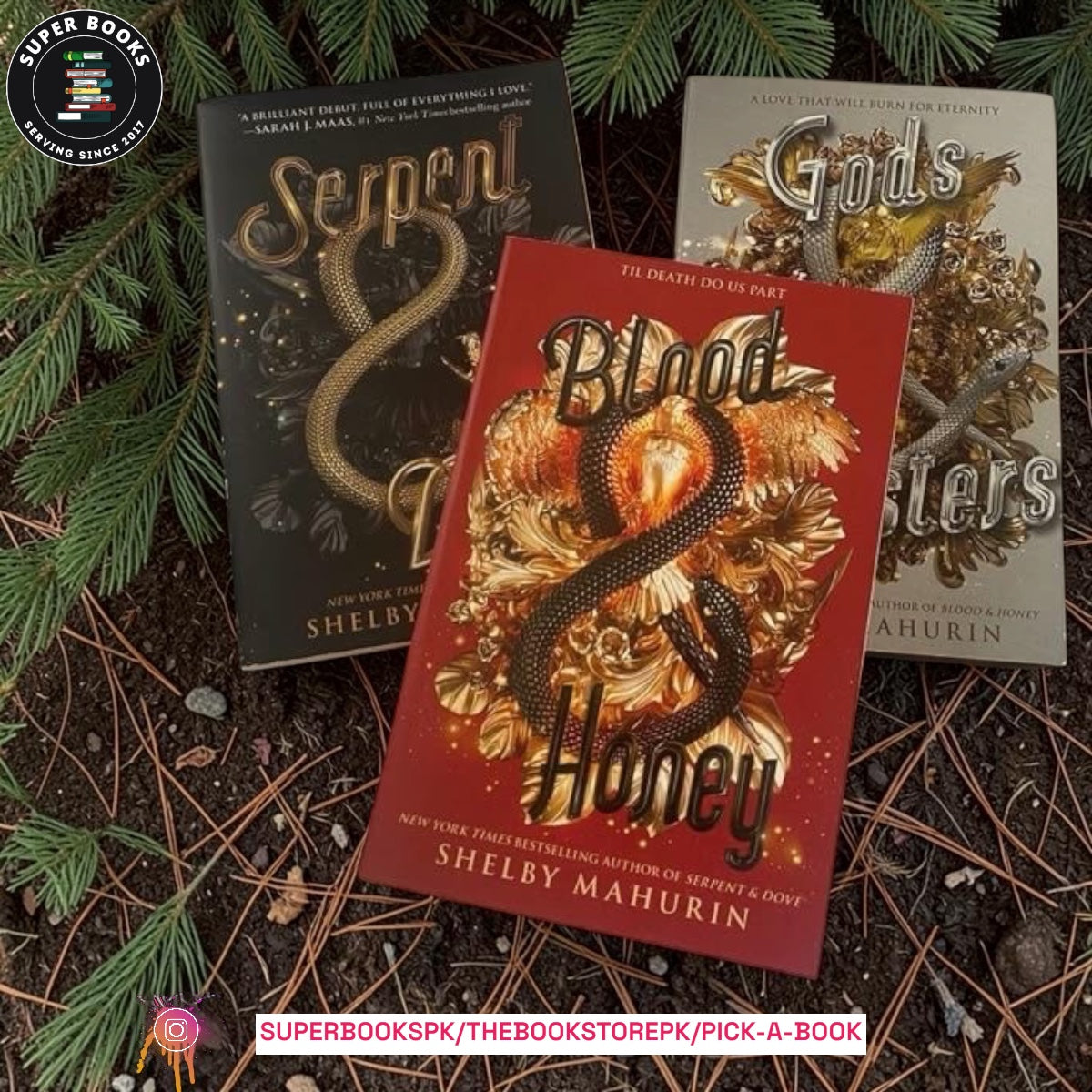Serpent & Dove trilogy by Shelby Mahurin